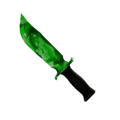 Ecto