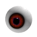 Eyeball