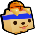Basketball Retriever