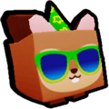 Party Squirrel