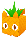 Pineapple Cat