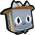 Safari Cat