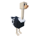 Ostrich