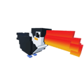 Toucan
