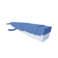 Whale