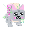 Gattatino Nyanino