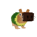 Pipi Avocado