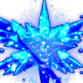 Luminary Star