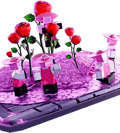 Speakerwoman's Rose Farm