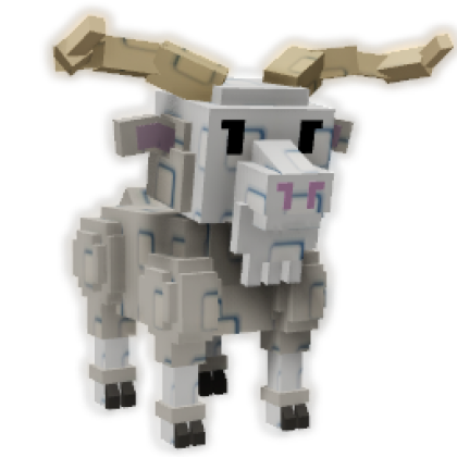 Angora Goat