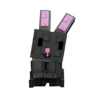 Black Bunny