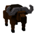 Cape Buffalo