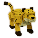 Cheetah