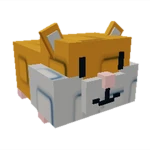 Hamster