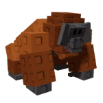 Orangutan
