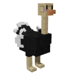 Ostrich