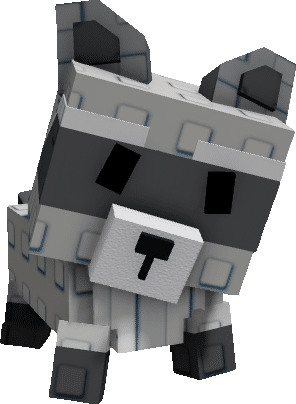 Raccoon