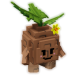 Seedling
