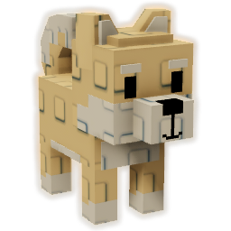 Shiba Inu