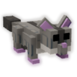 Sugar Glider