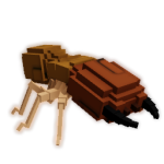 Termite
