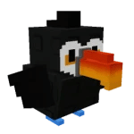 Toucan