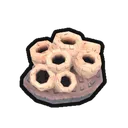 Ancient Coral Fossil