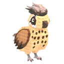 Ash Quail