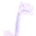 Barosaurus Skeleton Fossil