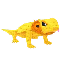 Bearded Dragon
