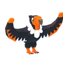 Boomerang Condor