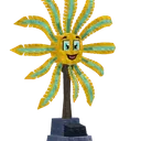 Feather Star
