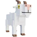 Goat