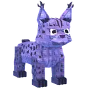 Lynx Cat