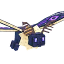 Moth