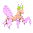 Orchid Mantis