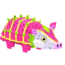 Pitaya Armadillo