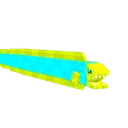 Ribbon Eel