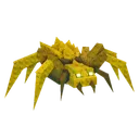 Sand Spider