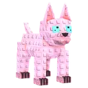 Sphynx Cat