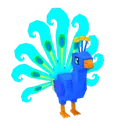Tidal Peacock