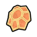 Turtle Shell Fossil