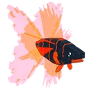 Volcanic Betta