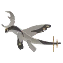 Aerodon