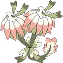 Clover Blossom