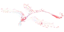 Minthwyrm