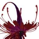 Vespritte