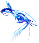 Galeostra
