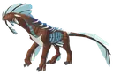 Gloracus