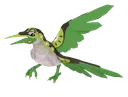 Kiiwin